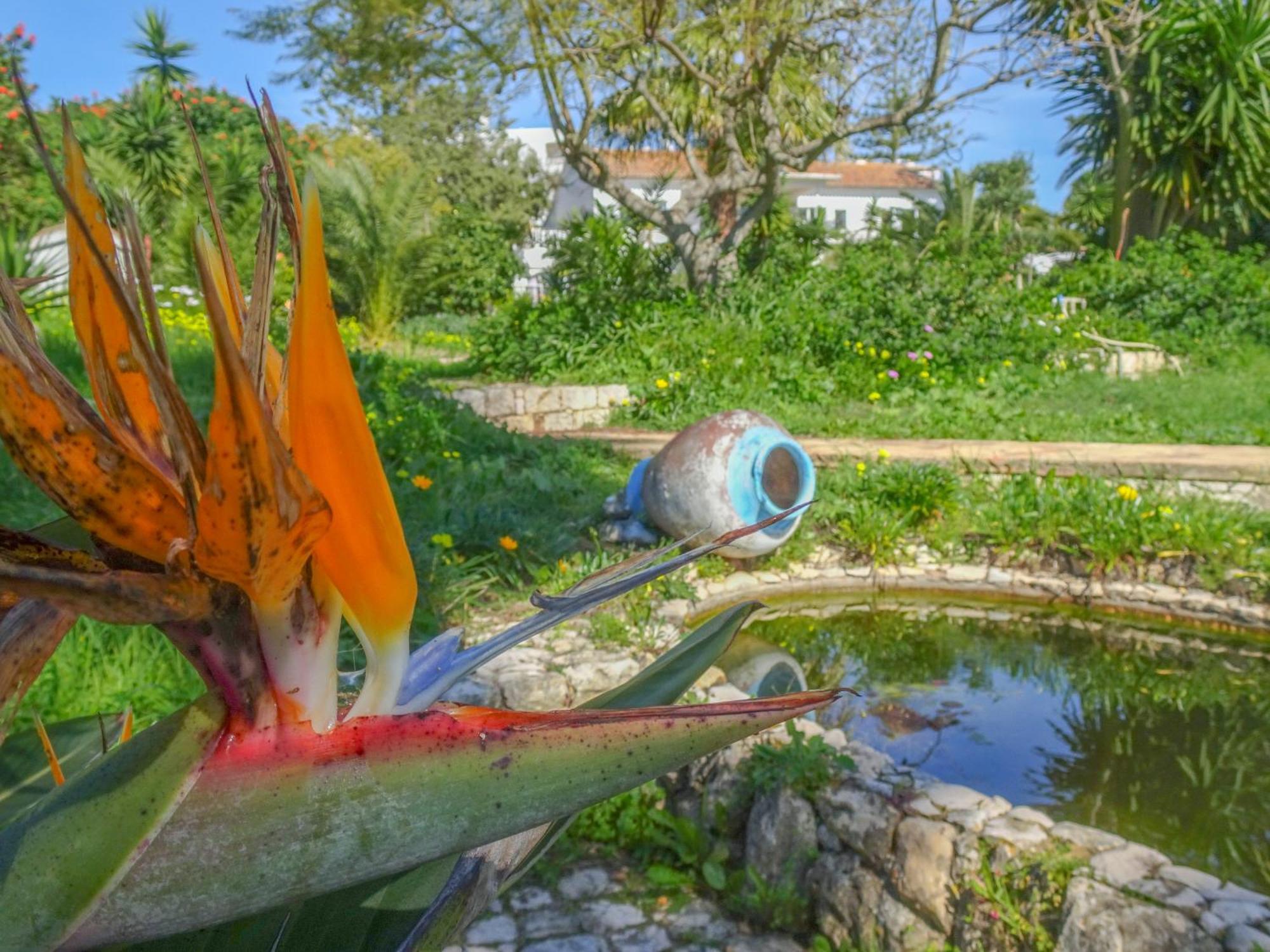 Quinta De Lagos Eksteriør billede